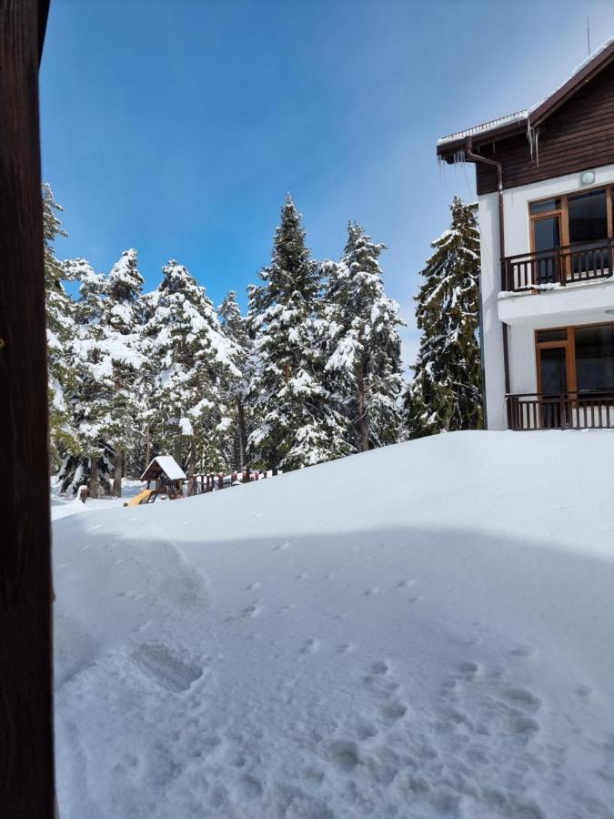 Borovets Ski&Spa Studio - Semiramida Garden A16 Extérieur photo